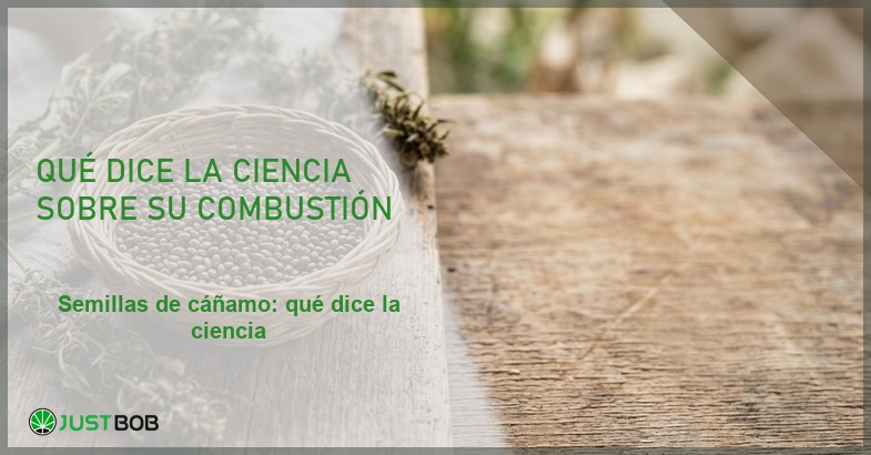 Cesta de mimbre con semillas de cáñamo y flores secas sobre madera, banner del artículo de Justbob sobre combustión