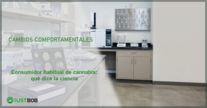 Archivadores, balanza y documentos en biblioteca, banner del artículo de Justbob sobre consumidor habitual