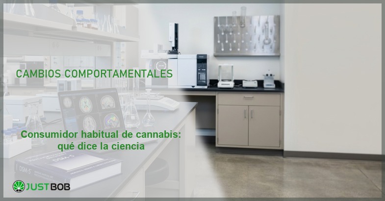 Archivadores, balanza y documentos en biblioteca, banner del artículo de Justbob sobre consumidor habitual