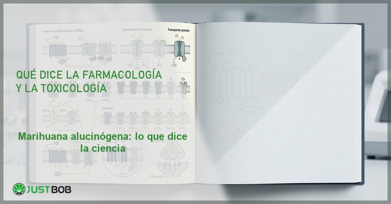Libro abierto con diagramas de receptores GPCR y GABA, banner del artículo de Justbob sobre marihuana alucinógena
