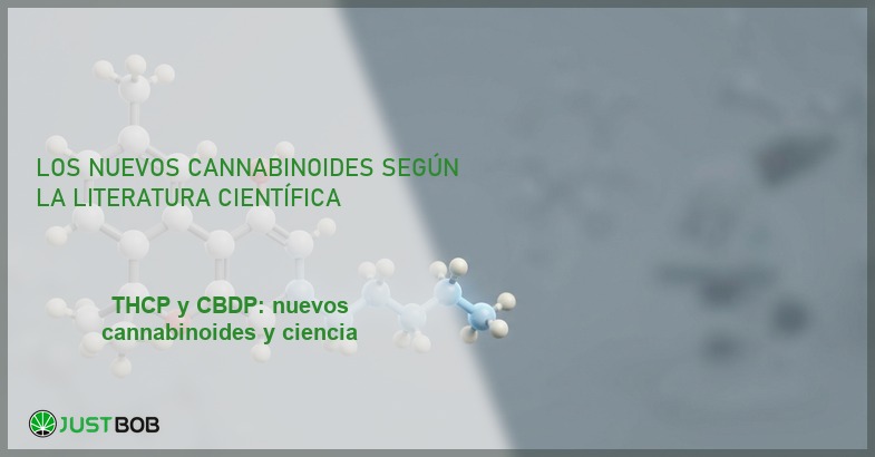 Modelo molecular 3D de cannabinoide con cadena lateral alquílica, banner del artículo de Justbob sobre THCP y CBDP