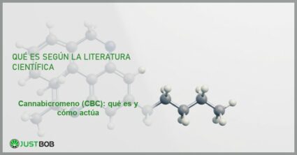 Modelo molecular 3D de la estructura química del cannabicromeno, banner del artículo de Justbob sobre CBC