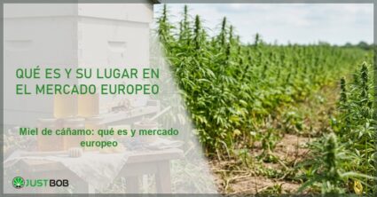 Colmena con tarros de miel y panales junto a un campo de cáñamo, banner del artículo de Justbob sobre miel de cáñamo