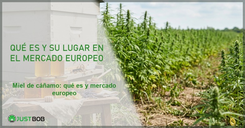 Colmena con tarros de miel y panales junto a un campo de cáñamo, banner del artículo de Justbob sobre miel de cáñamo