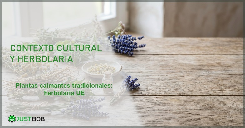 Manojos de manzanilla, lavanda y menta sobre mesa rústica, banner del artículo de Justbob sobre plantas calmantes