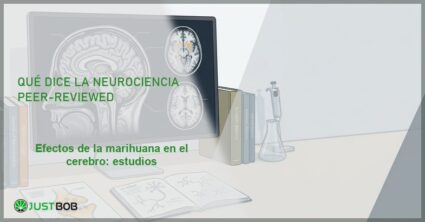 Pantalla con resonancia magnética cerebral y libros, banner del artículo de Justbob sobre marihuana y cerebro
