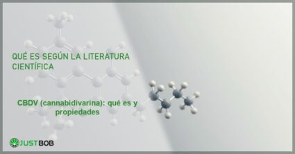 Modelo molecular 3D de la cannabidivarina con cadena lateral propilo, banner del artículo de Justbob sobre CBDV