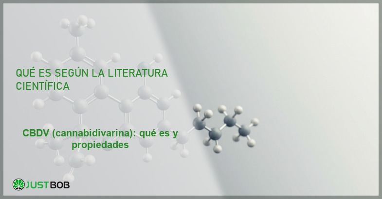 Modelo molecular 3D de la cannabidivarina con cadena lateral propilo, banner del artículo de Justbob sobre CBDV