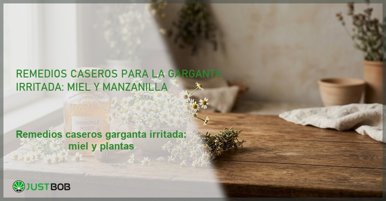 Remedios caseros para la garganta irritada: miel y manzanilla