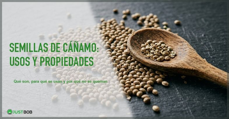 Semillas de canamo esparcidas sobre una superficie de pizarra oscura con una cuchara de madera en detalle macro