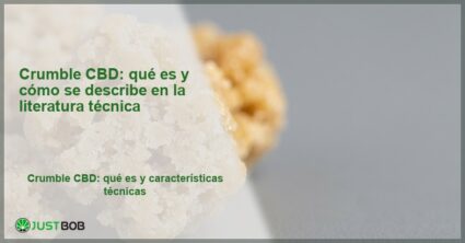 Detalle macro de concentrado crumble CBD con textura granular dorada, banner del artículo de Justbob sobre el crumble CBD