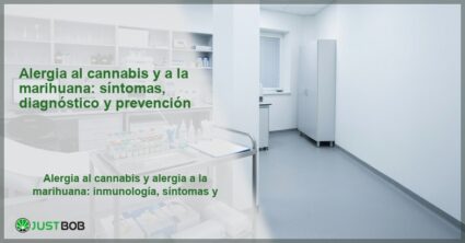 Consulta de alergología con camilla, equipo de pruebas cutáneas y armarios clínicos, banner del artículo de Justbob sobre alergia al cannabis