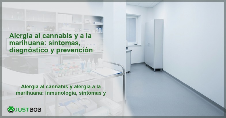 Consulta de alergología con camilla, equipo de pruebas cutáneas y armarios clínicos, banner del artículo de Justbob sobre alergia al cannabis