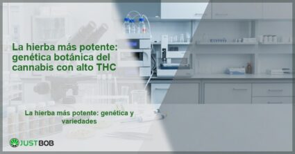 Microscopio y muestras de semillas en laboratorio de genética vegetal, banner del artículo de Justbob sobre la hierba más potente y alto THC