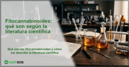 Estructuras moleculares de THC, CBD y CBG con receptor cannabinoide CB1, banner del artículo de Justbob sobre los fitocannabinoides
