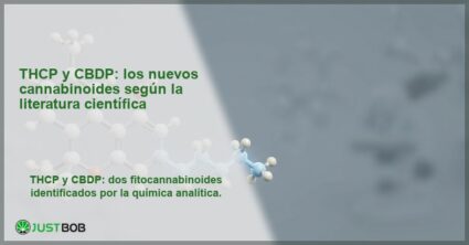 Modelo molecular 3D de cannabinoide con cadena lateral alquílica, banner del artículo de Justbob sobre THCP y CBDP