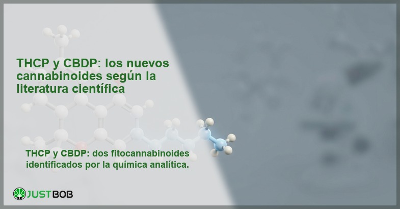 Modelo molecular 3D de cannabinoide con cadena lateral alquílica, banner del artículo de Justbob sobre THCP y CBDP