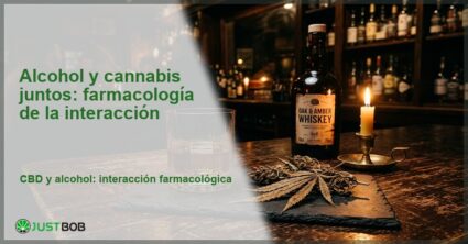 Diagrama de receptores CB1 y CB2 con estructuras moleculares sobre laboratorio, banner del artículo de Justbob sobre alcohol y cannabis juntos