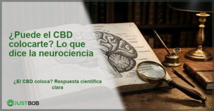 Ilustración anatómica del cerebro humano con red neuronal, banner del artículo de Justbob sobre si el CBD coloca según la neurociencia