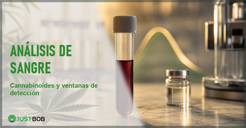 Análisis toxicológico de sangre y cannabinoides Banner editorial sobre el análisis toxicológico de sangre y las ventanas de detección de cannabinoides según la literatura forense europea