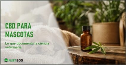 Banner editorial CBD para mascotas con un perro blanco descansando junto a un frasco de vidrio ámbar y una hoja de cáñamo sobre una mesa de madera