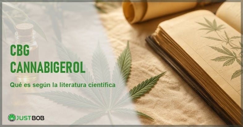 Cannabigerol CBG: bodegón documental científico Vial de vidrio con líquido ámbar, una hoja de cáñamo y un libro antiguo con ilustraciones botánicas, en un bodegón documental sobre el cannabigerol CBG