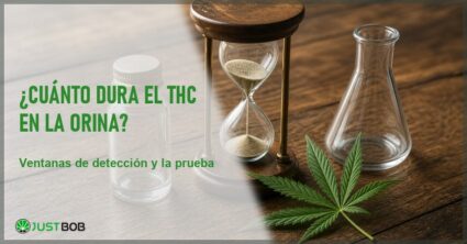 Un frasco de muestra, un reloj de arena y una hoja de cáñamo sobre una mesa de madera, en alusión a la ventana de detección del THC en la orina