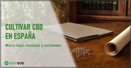 Planta de cáñamo industrial junto a documentos y semillas sobre una mesa de madera, en alusión al marco legal del cultivo de CBD en España