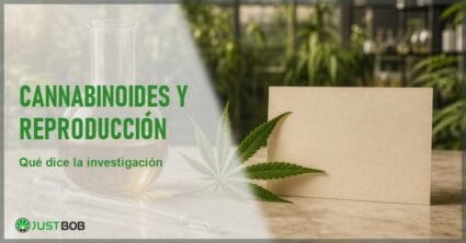 Bodegón científico con matraz de vidrio de líquido ámbar, pipeta y hoja de cáñamo en clave de revisión de la investigación sobre cannabinoides
