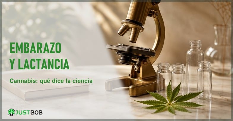 cannabis-embarazo-lactancia-investigacion Bodegón de investigación científica con un microscopio de latón, viales de vidrio vacíos, una hoja de cáñamo y un cuaderno cerrado sobre mármol crema