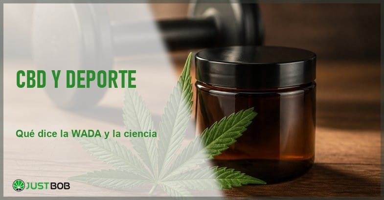 cbd-deporte-investigacion-cientifica Hoja de cannabis sativa y un frasco de vidrio ámbar junto a una mancuerna de gimnasio sobre una mesa de madera, en alusión al CBD y el contexto deportivo
