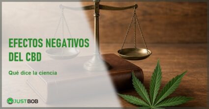 Balanza de latón antigua sobre un libro de cuero y una hoja de cannabis sativa, en alusión al marco regulatorio y la literatura científica del CBD