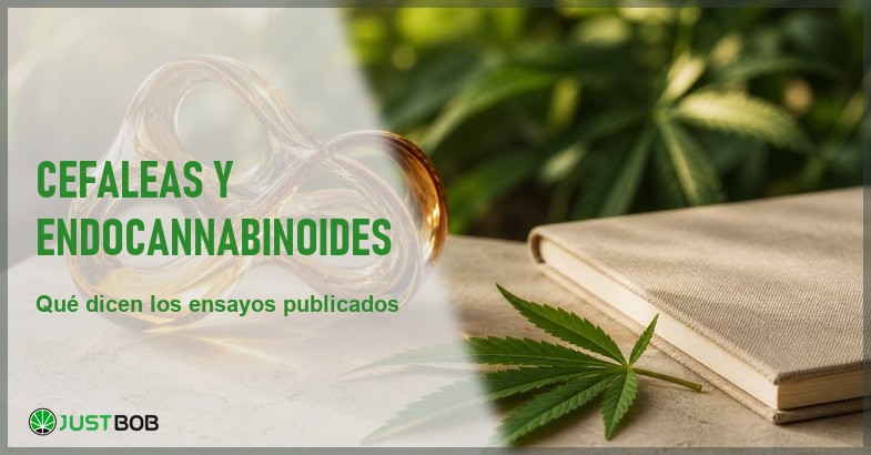 Bodegon editorial sobre cefaleas y sistema endocannabinoide con escultura de cristal ambar, hoja de canamo y cuaderno cerrado en investigacion cientifica