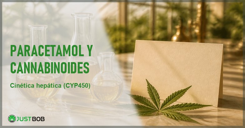 Bodegon editorial de laboratorio con matraces de vidrio de liquido ambar, una pipeta y una hoja de canamo sobre marmol crema, invernadero desenfocado al fondo