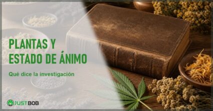 Hierbas y flores secas junto a una hoja de cáñamo y un libro herbario antiguo sobre una mesa de madera, en alusión a la herboristería tradicional