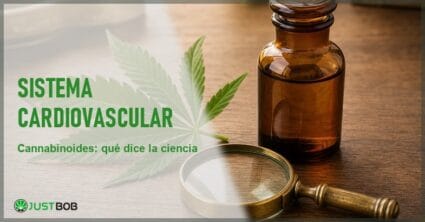 Hoja de cáñamo junto a un frasco de vidrio ámbar y una lupa de latón sobre una mesa de madera, en alusión a la investigación científica sobre cannabinoides