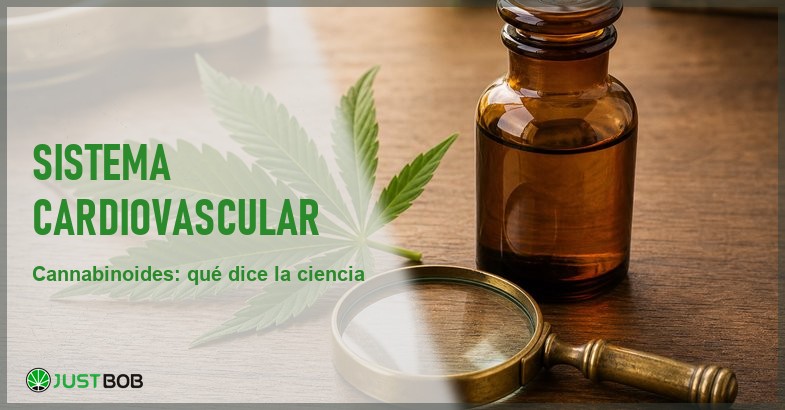 Hoja de cáñamo junto a un frasco de vidrio ámbar y una lupa de latón sobre una mesa de madera, en alusión a la investigación científica sobre cannabinoides