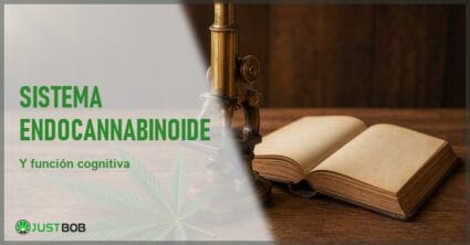 Microscopio de latón vintage, una hoja de cáñamo y un libro antiguo abierto sobre una mesa de madera, en alusión a la investigación neurocientífica