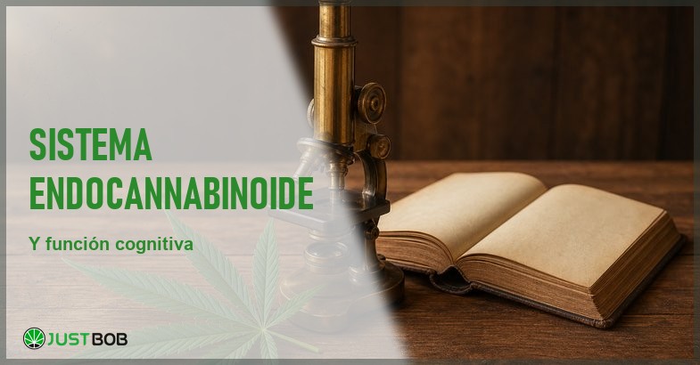 Microscopio de latón vintage, una hoja de cáñamo y un libro antiguo abierto sobre una mesa de madera, en alusión a la investigación neurocientífica