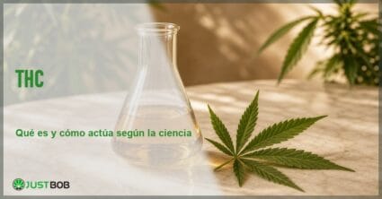 Bodegón de laboratorio con un matraz Erlenmeyer de vidrio con líquido ámbar y una hoja de cáñamo sobre mármol crema, con follaje desenfocado