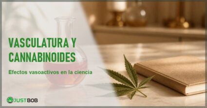 Bodegon editorial de laboratorio con un matraz de vidrio de liquido rojo-ambar, una hoja de canamo y un cuaderno cerrado sobre marmol crema