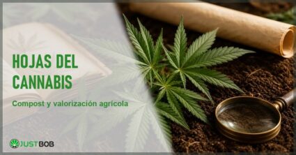 Banner editorial sobre las hojas del cannabis fan leaves y sugar leaves para compost y valorización agronómica según la literatura agrícola