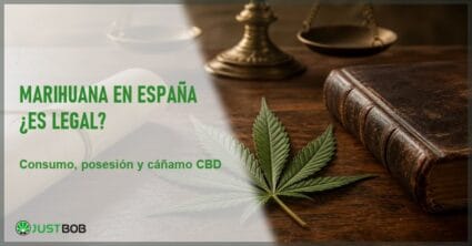 Hoja de cannabis sativa sobre una mesa de madera junto a un libro de cuero, una balanza de latón y un pergamino, evocando el marco legal en España