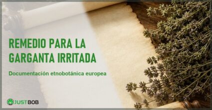 Banner editorial sobre las plantas tradicionales asociadas al cuidado popular de la garganta según la literatura etnobotánica europea documentada