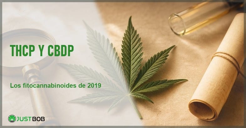 THCP y CBDP: fitocannabinoides Citti Cannazza Banner editorial sobre el THCP y el CBDP, los nuevos fitocannabinoides identificados por Citti y Cannazza en 2019 según la literatura científica peer-reviewed