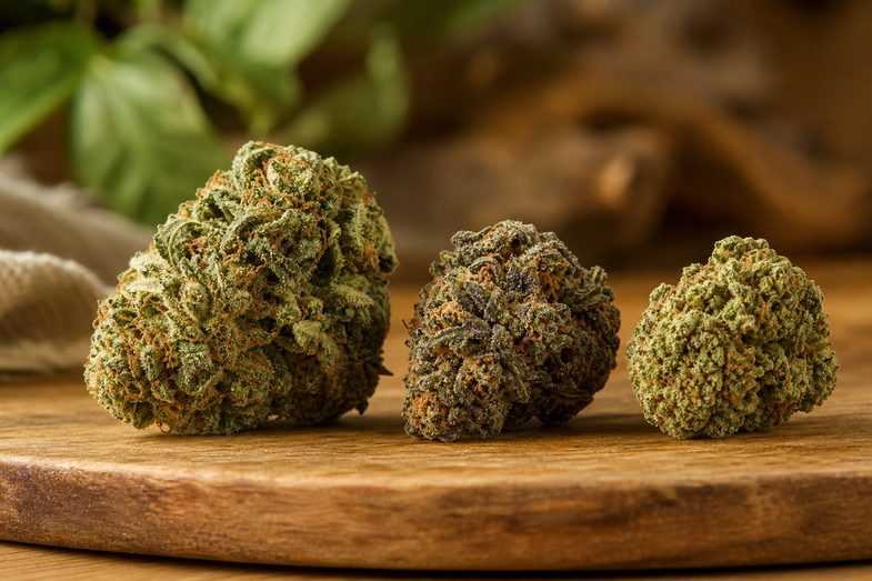 Tres cogollos secos de cáñamo CBD de distinto color y tamaño sobre una tabla de madera rústica, en alusión a la diversidad genética de las variedades