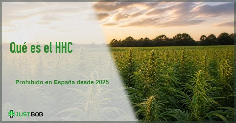 hhc-canamo-industrial-marco-legal Banner del artículo con el título en verde y el logotipo Justbob en un panel claro, y a la derecha un campo de cáñamo industrial al atardecer