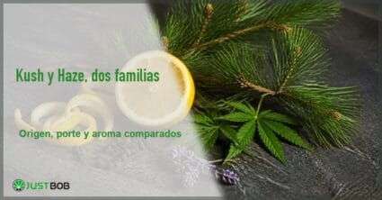 Banner del artículo con el título en verde y el logotipo Justbob, y a la derecha un bodegón botánico con limón, ramas de pino y una hoja de cáñamo