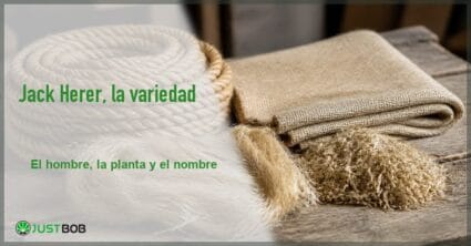 Banner del artículo con el título en verde y el logotipo Justbob, y a la derecha una cuerda de cáñamo enrollada junto a fibra en bruto y tela basta