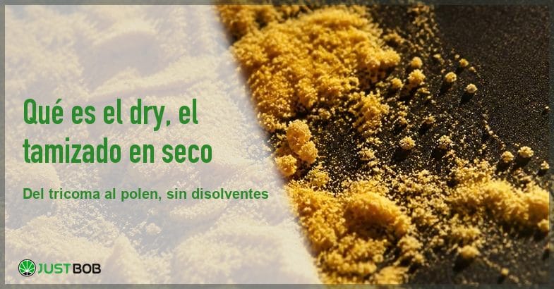 dry-tamizado-en-seco-polen-canamo Banner del artículo con el título en verde y el logotipo Justbob en un panel claro, y a la derecha una macrofotografía de polvo dorado con pequeños aglomerados